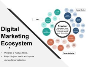 Online ecosystem shifts